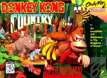 Donkey Kong Country (USA) (Rev 1)